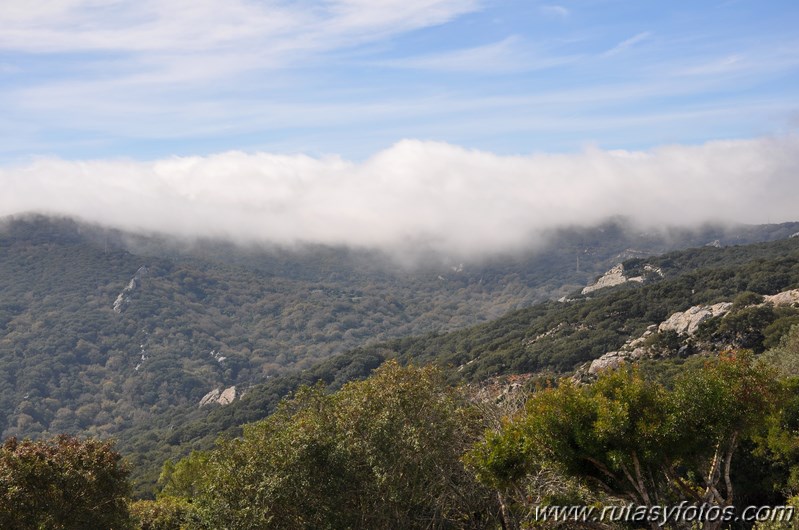 Laja Alta - Garganta de Gamero