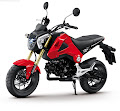 Honda MSX125