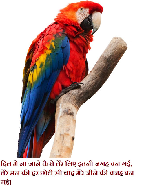 latest Dard shayari in hindi with an image 