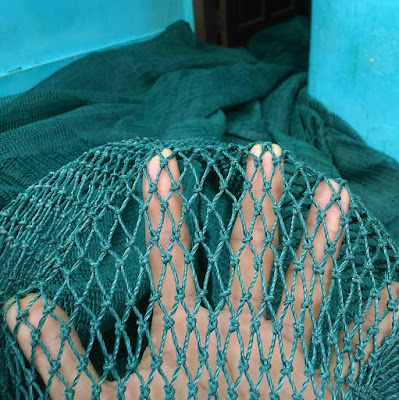 Fungsi Jaring Keramba Pertanian Perkebunan Fungsi Jaring Keramba Pertanian Perkebunan