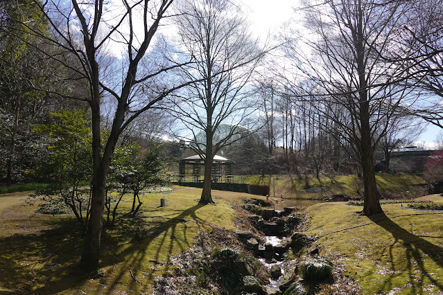 鳥取県西伯郡南部町鶴田 とっとり花回廊 花の谷