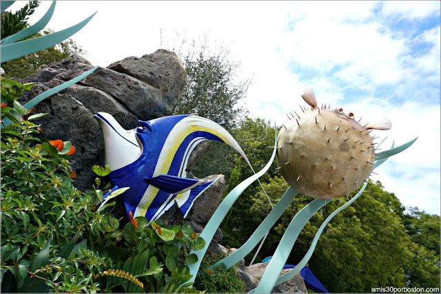 Personajes de Buscando a Nemo en Epcot, Orlando