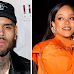 Chris Brown Shows Support For Rihanna's Super Bowl Halftime Performance