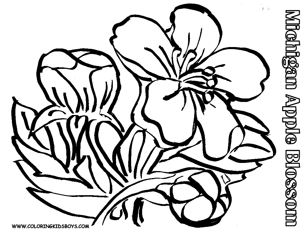 Coloring Pages Of Flowers 6