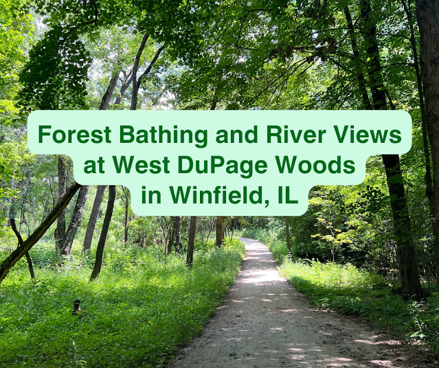 Forest Bathing and River Views at West DuPage Woods in Winfield, IL