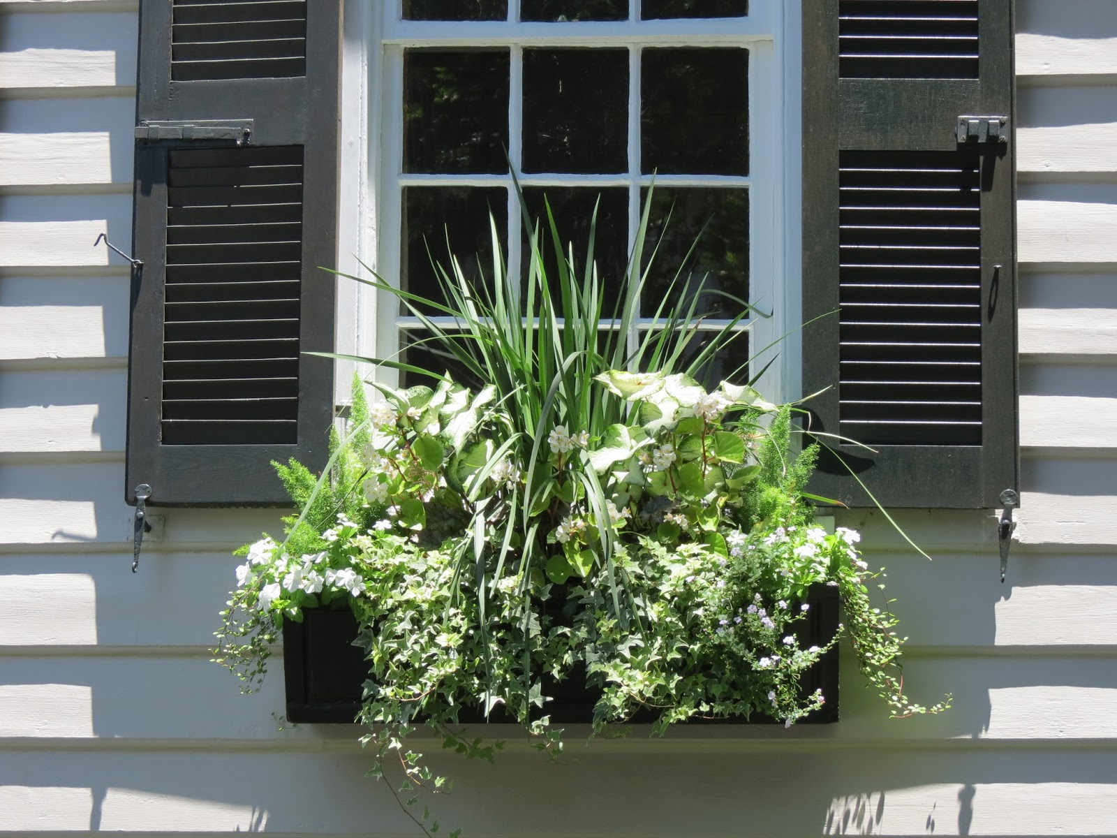 JLL DESIGN: Window Box Ideas & More Garden Inspirations