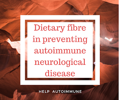 Dietary fibre in preventing autoimmune neurological disease