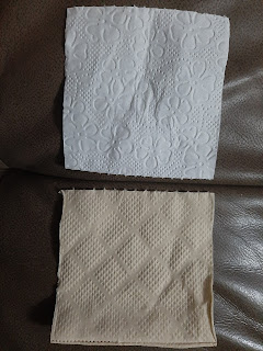 Comparison of Fresh Eco-Pulp and BabebiBambu Toilet Paper Squares