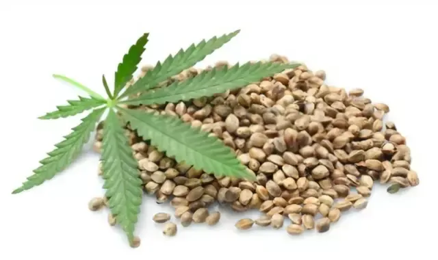 Hemp Seeds