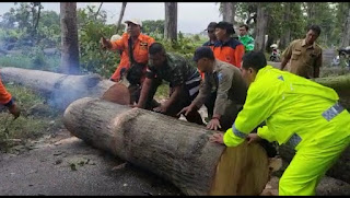 Gercep, Evakuasi Pohon Tumbang, Akses Jalan Kembali Lancar.