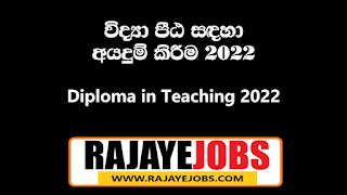 Governmet Job Vacancies 2022