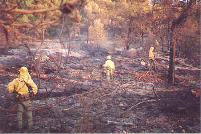 Resultado de imagen de contaminacion y deforestacion