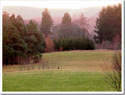 5 Dec 5 05-01-2012 11-13-47