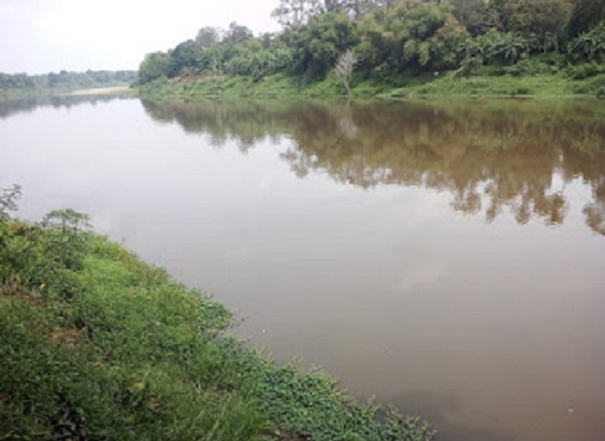 Limbah Pabrik Diduga Cemari Sungai Lematang, 12 Desa Ancam Demo PT TEL