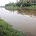    Limbah Pabrik Diduga Cemari Sungai Lematang, 12 Desa Ancam Demo PT TEL