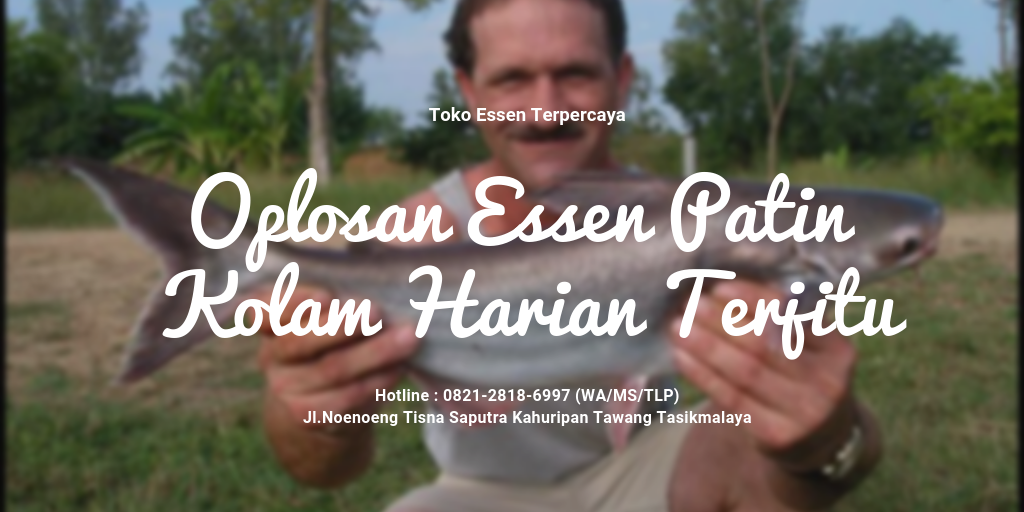 https://tokoessenterpercaya.blogspot.com/2019/03/oplosan-essen-patin-kolam-harian-terjitu.html