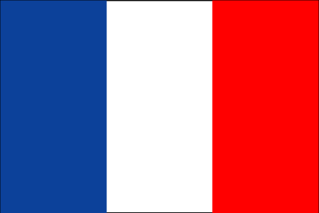 flag of france in 1600. The flag above represents