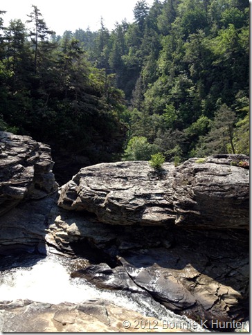 newland_NC 170