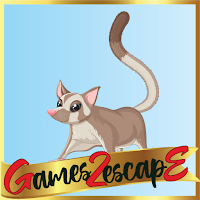 Games2Escape Poor Sugar Glider Rescue