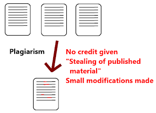 Example of Article Plagiarism Diagram