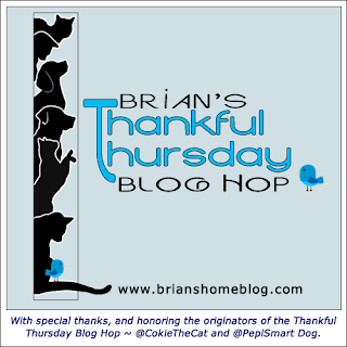 http://www.brianshomeblog.com/2016/11/thankful-thursday-blog-hop-happy-thanksgiving.html