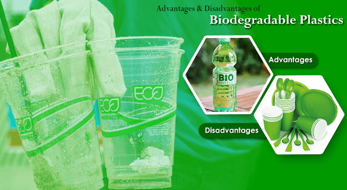 Advantages and Disadvantages of Biodegradable Plastics