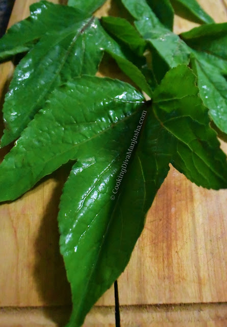 gongura-sorrel-leaves