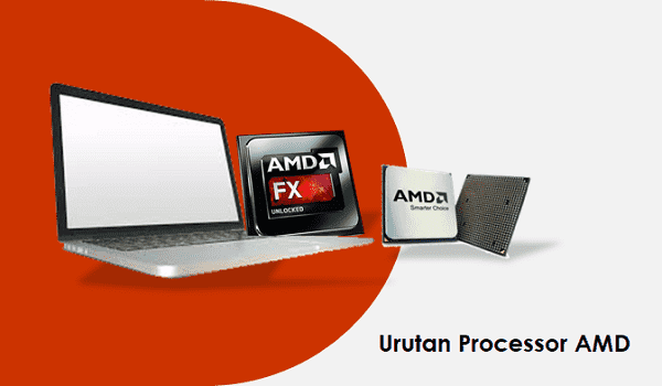 processor amd