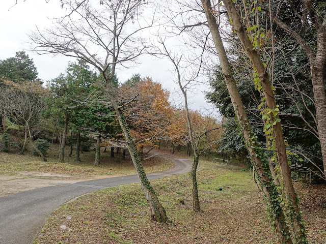 弥生の森の遊歩道