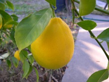 DSCN4814