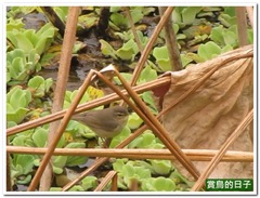 20120209_085436_092_Macau_8