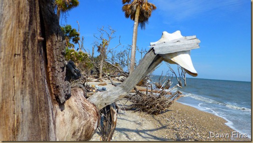 Botany Bay and the Boneyard_041