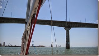 IMG_6239