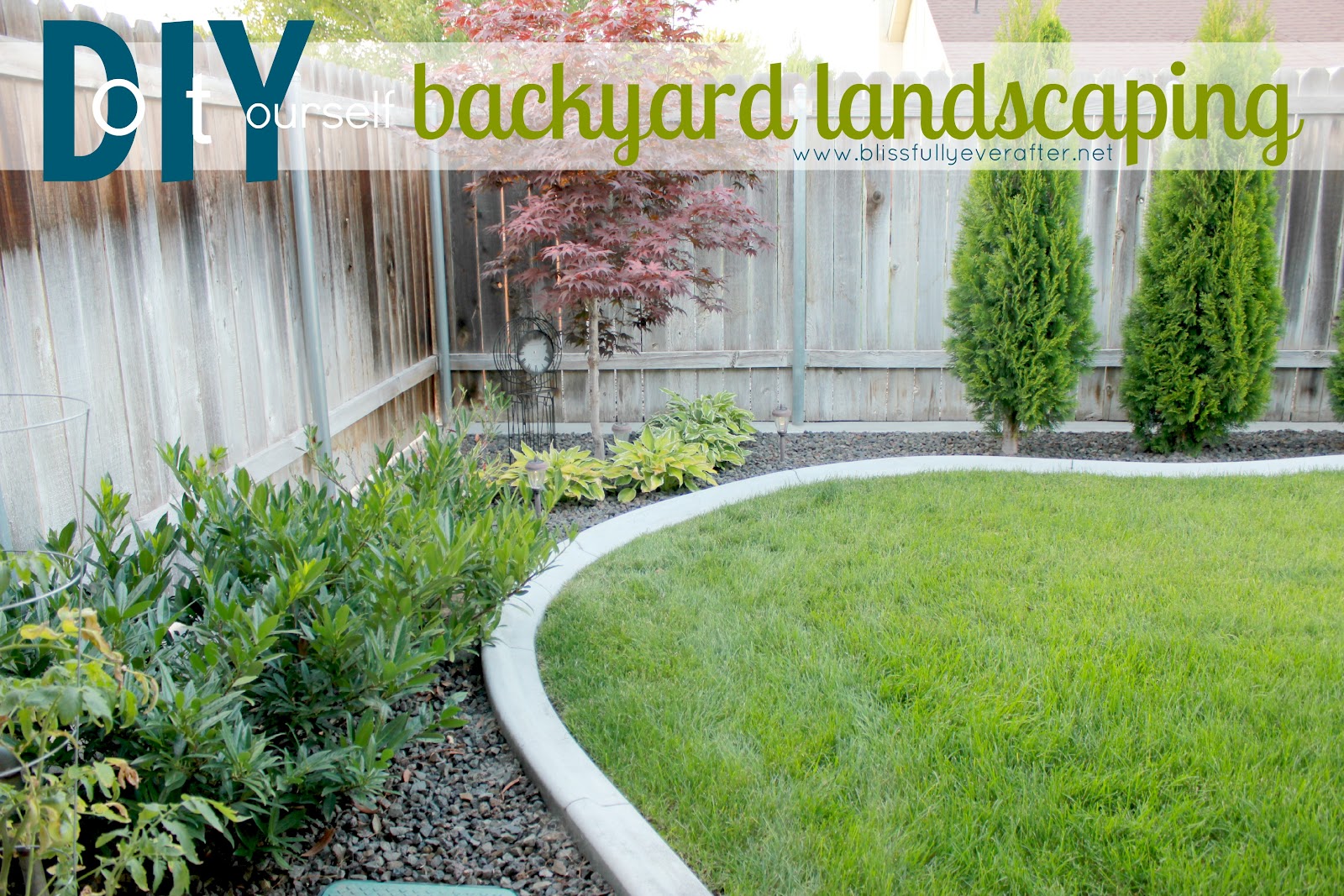 Inexpensive Backyard Garden Ideas Photograph | will be shari