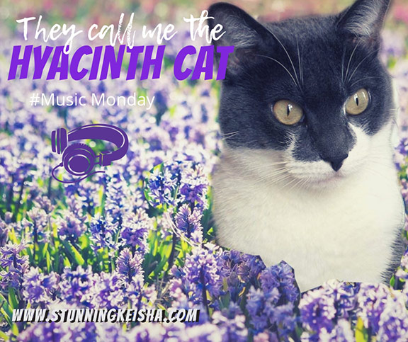 They Call Me The Hyacinth Cat