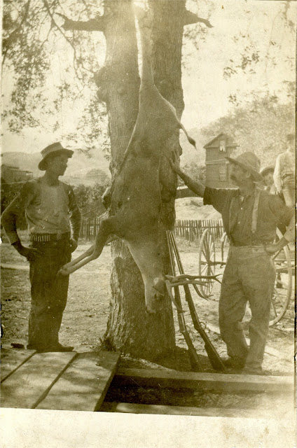 Springville, CA.  In 1908.  Hunters.   Hoover