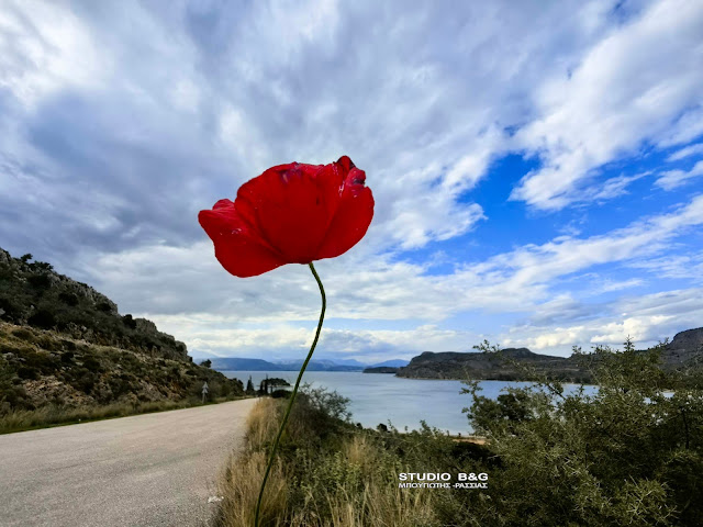 ΝΑΥΠΛΙΟ