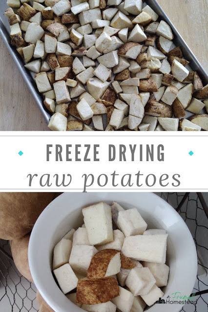 Freeze drying potatoes is the perfect way to store potatoes for long term use.