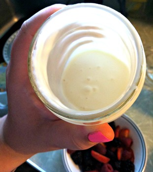 Honey Lemon Yogurt sauce3