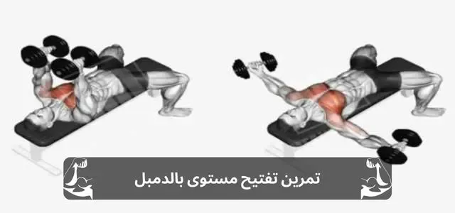 جدول تمارين كمال الاجسام لتضخيم العضلات