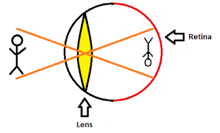 Interesting Facts About Human Eyes