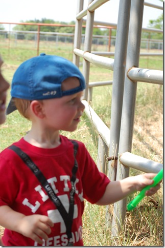 May June 2010 145
