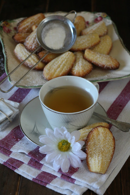 madeleines-te