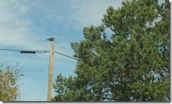 20160406_150247
