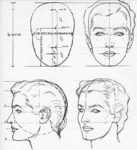 Guia Dibujo: Aprende Como Dibujar Retratos Realistas