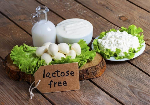 Global Lactose Free Food Market Size