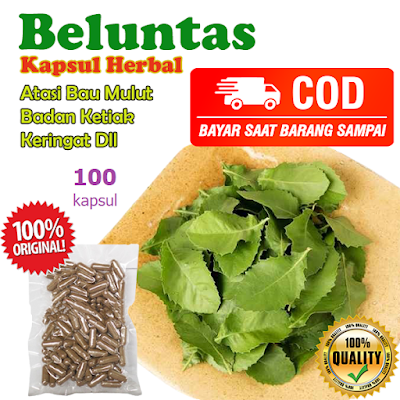 Daun Beluntas Obat Bau Badan Mulut Ketiak