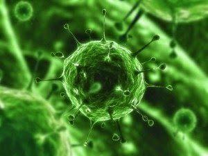 Virus Yang Menguntungkan Dan Merugikan Pada Makhluk Hidup