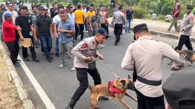 Ditonton 1 Juta Kali, Viral Anjing Polisi Gigit Polisi: Ekspresi Komandan Disorot