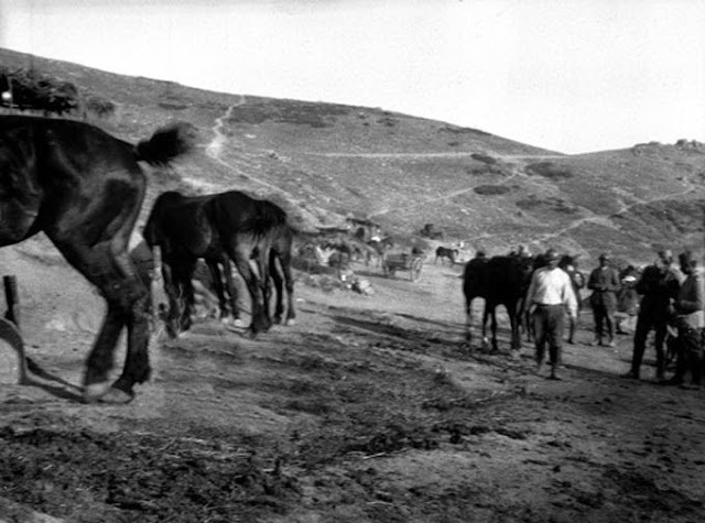 Grunishta Mariovo during ww1